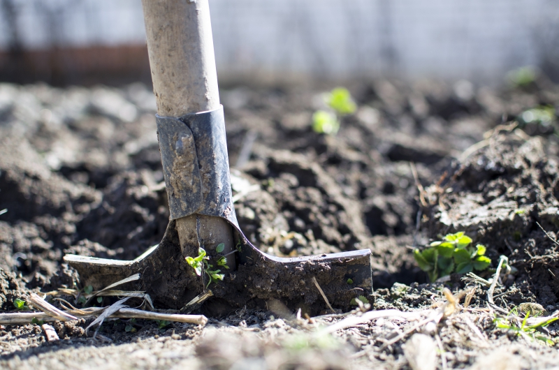 jardinerie-ST MARTIN VESUBIE-min_equipment-2047314